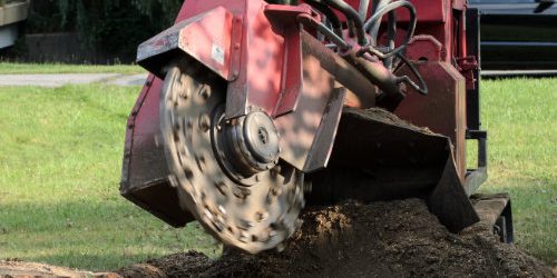 dreamstime_l_58579042