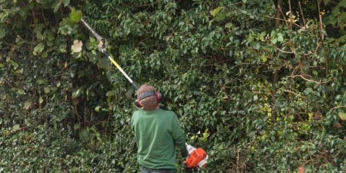 dreamstime_l_83641689