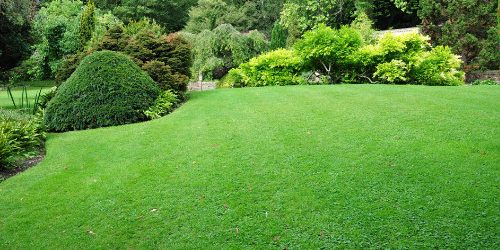 dreamstime_xl_16002425