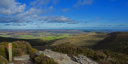 dreamstime_xl_41833564