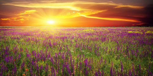 dreamstime_xl_43044263