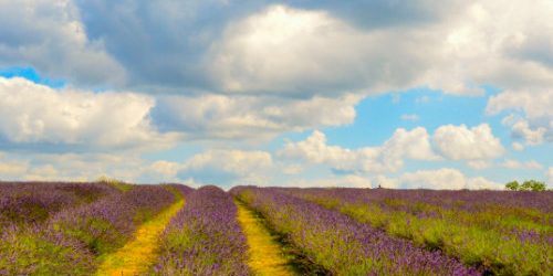 dreamstime_xl_75656881